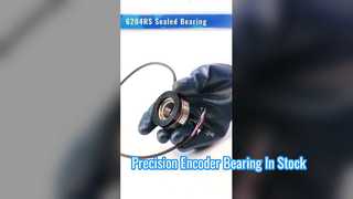 Bantalan Sensor 6204RS | Berbagai Versi Steker Kabel