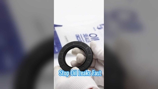 Segel Minyak TC | Segel Poros Putar Tahan Suhu Tinggi & Aus untuk Mesin