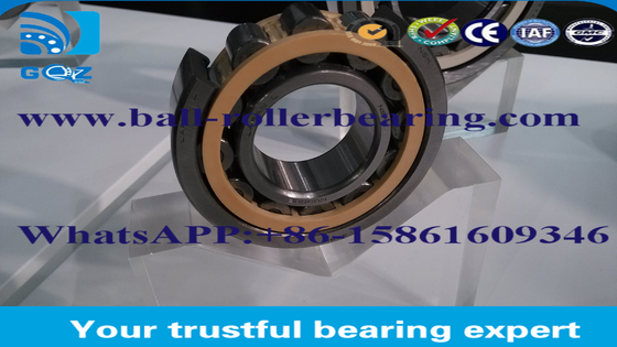 Mobil Full Complement Roller Bearing dengan bahan baja GCr15 P0 P6 P2