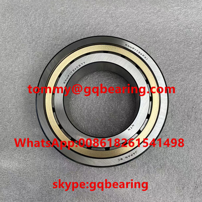 NTN RNUP1734PX1 Bantalan Rol Silinder RNUP1734CS77 A4VSO500 Bantalan Pompa Plunger