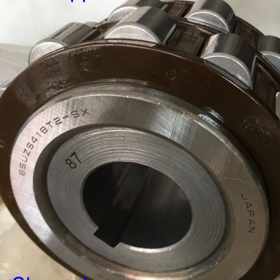 65UZS418T2X-SX-87 Bantalan Rol Silinder dengan Bushing 65UZS418 Nylon Cage Eksentrik Bantalan