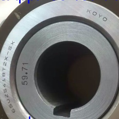 65UZS418T2X-SX-87 Bantalan Rol Silinder dengan Bushing 65UZS418 Nylon Cage Eksentrik Bantalan