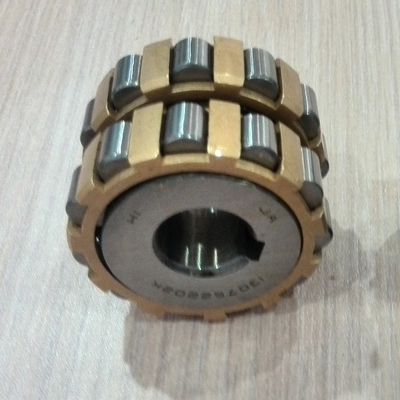 500752307 Nylon Cage Double Row Eksentrik Roller Bearing 35x86.5x50mm