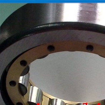 Full Complement Cylindrical Roller Bearing, Industrial Roller Bearing NU318