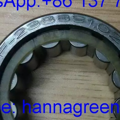 F-238891.02 / F23889102 Bantalan Rol Silinder Berbaris Satu Baris / Bantalan Gearbox 32*53.5*19.5mm