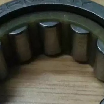 F-238891.02 / F23889102 Bantalan Rol Silinder Berbaris Satu Baris / Bantalan Gearbox 32*53.5*19.5mm