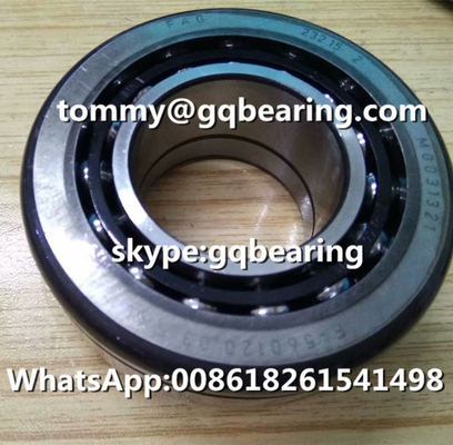 Bahan baja Chrome Jerman Made Nylon Caged FAG F-560120.03.SKL Double Row Differential Bearing