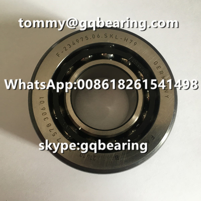 Bahan baja krom FAG F-234975.06 F-234975.06.SKL-H79 BMW Differensial Automotive Bearing