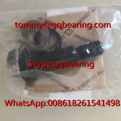 Jerman Asal Gcr15 Baja Bahan INA LFE12x45-A1 Jurnal Ekskentris Bolt Untuk Track Roller Bearing LFR