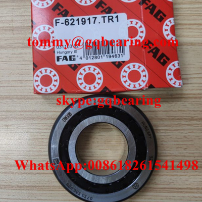 Nylon Cage F-621917.TR1 Tapered Roller Bearing Untuk Gearbox Otomotif