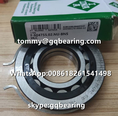 VW AG INA F-604755.02 Bantalan Rol Silinder 80Mm OD Dengan Cincin Snap 35*80*18mm