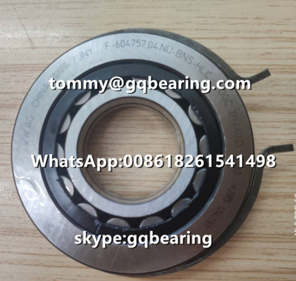 Kandang nilon Roller Bearing Silinder VW AG INA F-604757.04.NU - BNS - HLC dengan Snap Ring