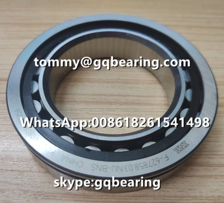 VW AG INA F-627858.03.NU-BNS Bahan Roller Cylindrical Bearing Chrome Steel